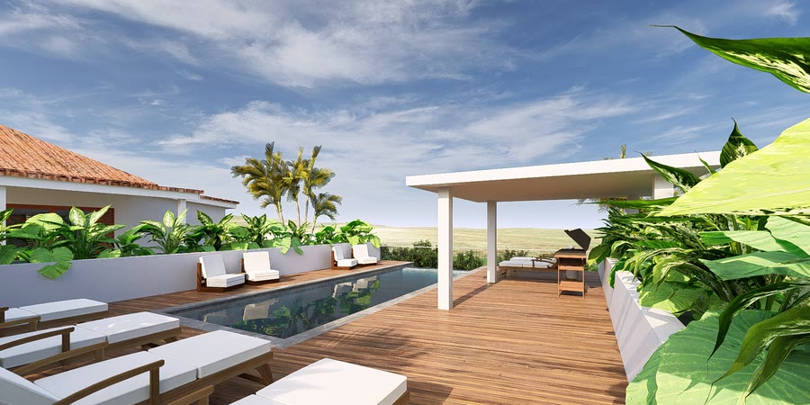 Shared pool with loungers on a timber deck
